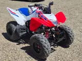 2026 Honda TRX250X — photo 4 of 10