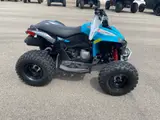 2026 Can-Am RENEGADE 110 EFI — photo 5 of 9