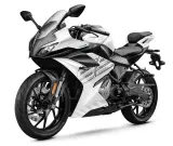2026 CFMOTO 300SS — photo 8 of 9