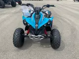 2026 Can-Am RENEGADE 110 EFI — photo 3 of 9