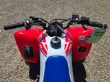2026 Honda TRX250X — photo 9 of 10