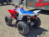 2026 Honda TRX250X — photo 8 of 10