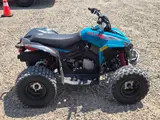 2026 Can-Am RENEGADE 110 EFI — photo 3 of 7