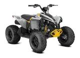 2026 Can-Am RENEGADE 110 EFI — photo 8 of 9