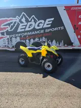 2026 Suzuki QUADSPORT Z90