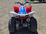 2026 Honda TRX250X — photo 7 of 10