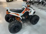 2026 Kayo FOX 70 — photo 5 of 6