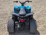 2026 Can-Am RENEGADE 110 EFI — photo 4 of 7