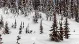 2026 Ski-Doo BACKCOUNTRY ADR 600R E 146 2P E-TEC 120 — photo 3 of 3