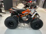 2026 Kayo PREDATOR 125 EFI — photo 6 of 10