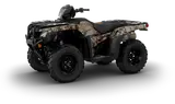 2027 Honda FOREMAN 4X4 EPS — photo 10 of 10