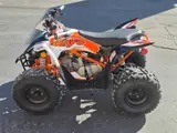 2026 Kayo PREDATOR 110 — photo 3 of 8