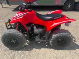 2026 Honda TRX90X