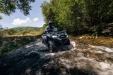 2026 Kawasaki BRUTE FORCE 450 4X4 EPS — photo 6 of 6