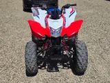 2026 Honda TRX250X — photo 3 of 10