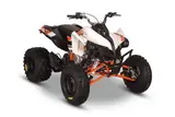 2027 Kayo STORM 300 EFI — photo 2 of 3