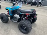 2026 Can-Am RENEGADE 110 EFI — photo 7 of 9