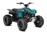 2026 Can-Am RENEGADE 110 EFI — photo 9 of 9