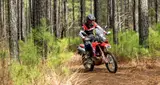 2026 Honda CRF300L RALLY — photo 3 of 3