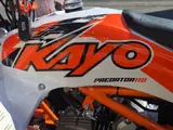 2026 Kayo PREDATOR 110 — photo 6 of 8