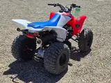 2026 Honda TRX250X — photo 6 of 10