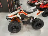 2026 Kayo FOX 70 — photo 2 of 6