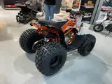 2026 Kayo PREDATOR 125 EFI — photo 7 of 10