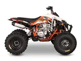 2027 Kayo STORM 300 EFI