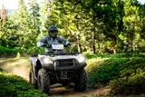 2023 Kawasaki BRUTE FORCE 750 4X4I EPS — photo 5 of 6