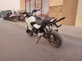 2025 Honda GROM ABS — photo 6 of 8
