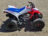 2026 Honda TRX250X — photo 5 of 10