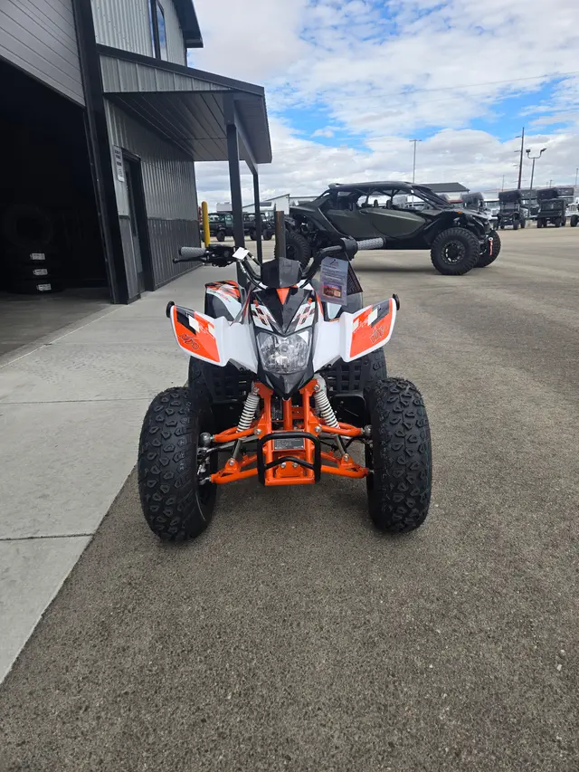2026 Kayo STORM 150 EFI