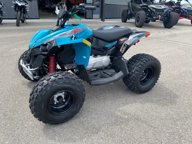 2026 Can-Am RENEGADE 110 EFI