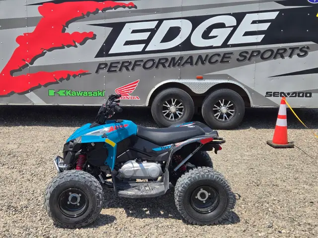 2026 Can-Am RENEGADE 110 EFI